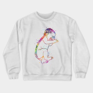 Baby Colorful Watercolor Crewneck Sweatshirt